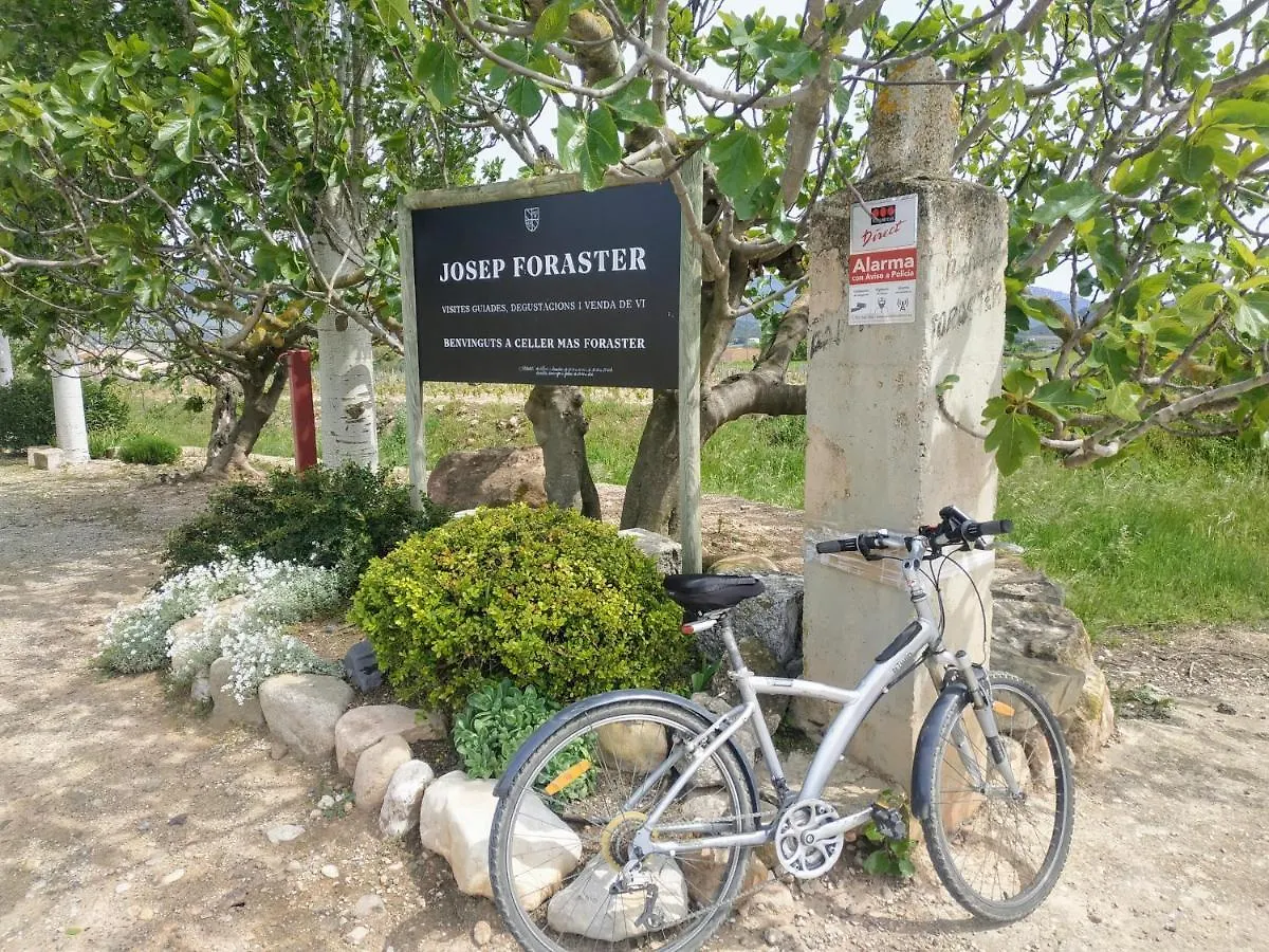 La Terrasseta Apartment Montblanc